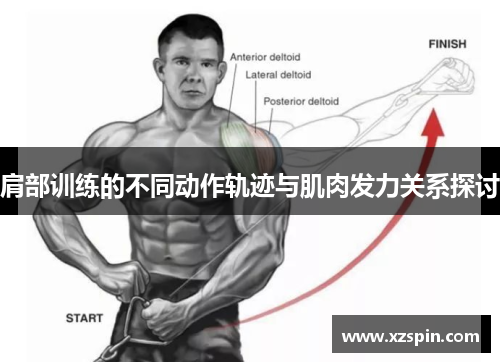 肩部训练的不同动作轨迹与肌肉发力关系探讨